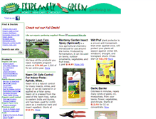 Tablet Screenshot of extremelygreen.com